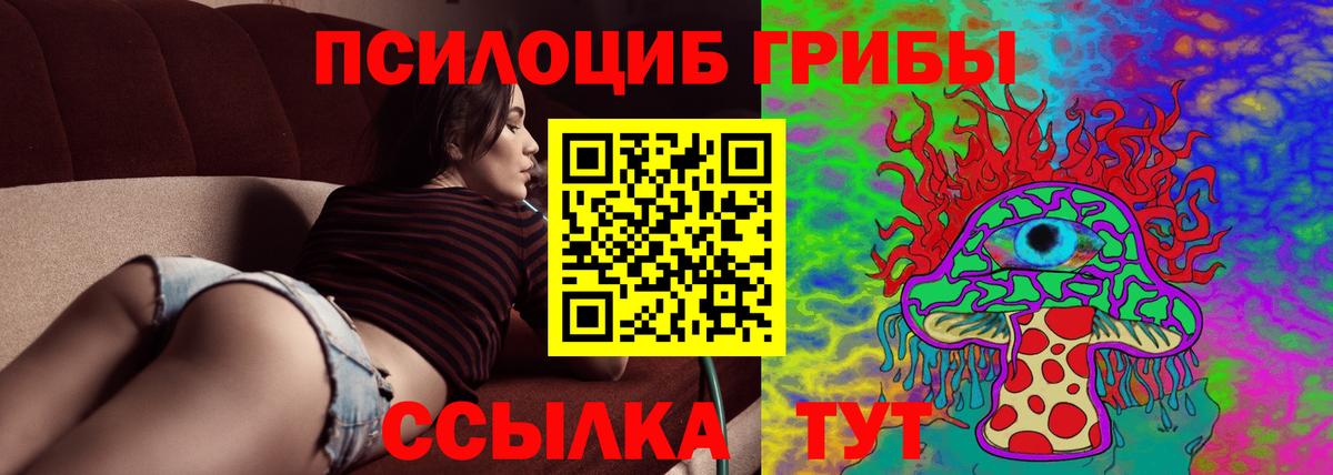 Галлюциногенные грибы Psilocybine cubensis Электросталь